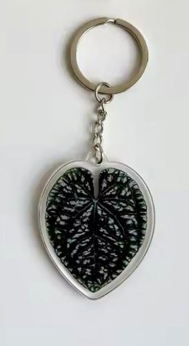 Keyring Keychain - Plant Leaf Aroid - Anthurium Araceae Aroid