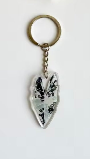 Keyring Keychain - Plant Leaf Aroid - Alocasia Variegated